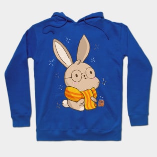 Nerd Bunny Hoodie